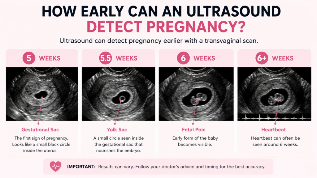 pregnancy scan results