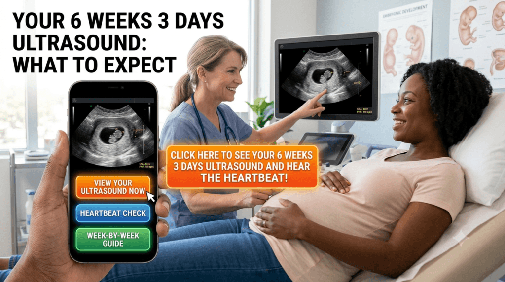 6 Weeks 3 Days Ultrasound: What You Will Actually See on the Screen 6 Weeks 3 Days Ultrasound picture