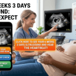 6 Weeks 3 Days Ultrasound picture