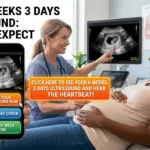 6 Weeks 3 Days Ultrasound picture